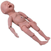 �߼�(j��)������ģ�ͣ���֫�ɏ�����