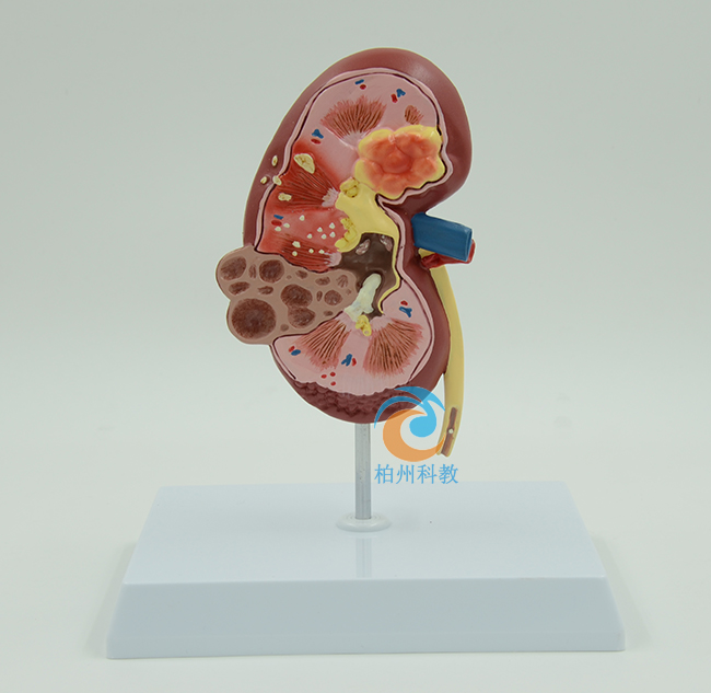 �I�K��������׃ģ��