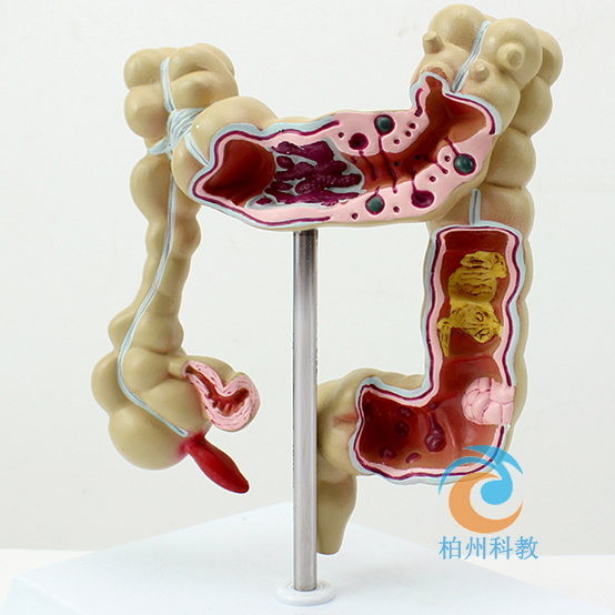 ���c��׃ģ��