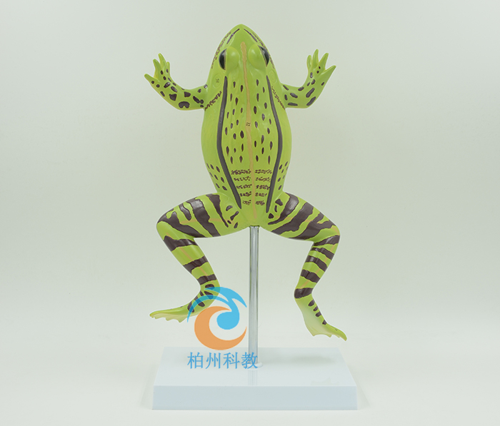 ���ܽ���ģ��