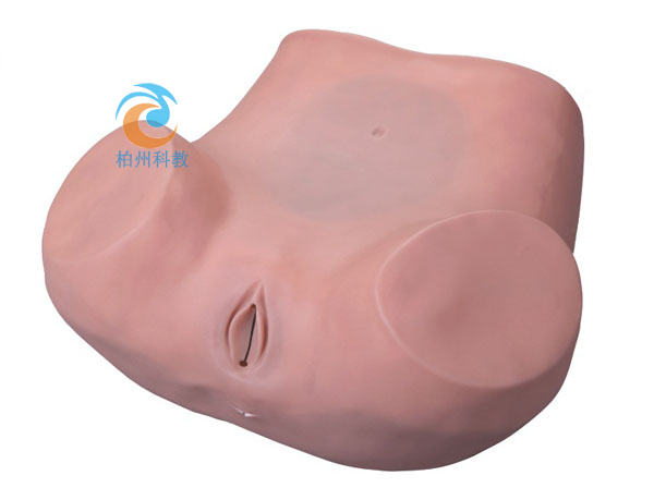 ꎵ����������ģ��