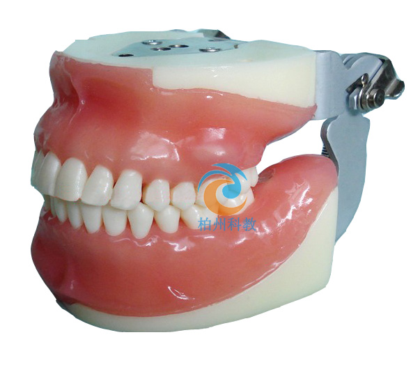 ��ǻ��ƾC�ό�(sh��)��(x��)ģ��