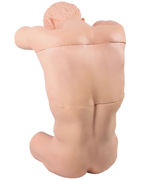 ��ǻ������������Ӗ��ģ��