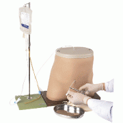 ��Ĥ͸��ģ��