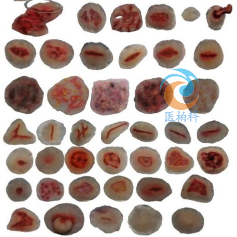 ����ʬF(xi��n)ģ�M����(58�N)