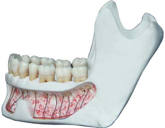 �������M��