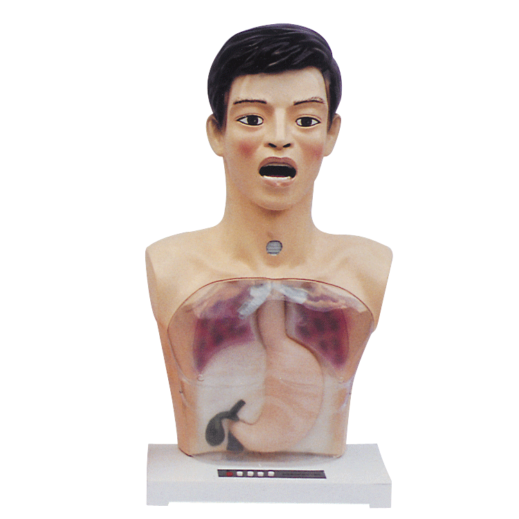 ���԰���ϴθģ��