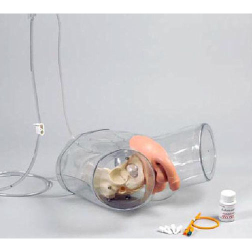 ͸�����Ԍ�(d��o)��ģ��