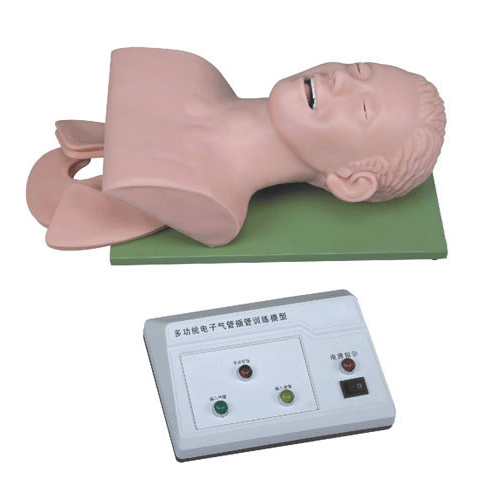 ������w��ܲ��Ӗ��ģ��