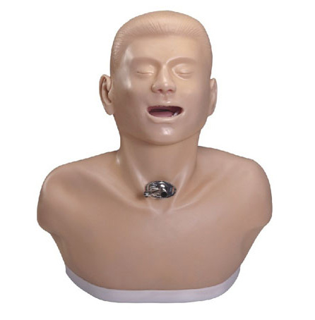 �߼����˚�����_�o��ģ��