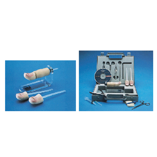 �μ��gӖ��������