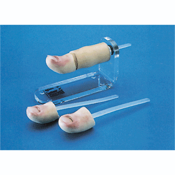 �μ��g(sh��)����(x��)ģ�K