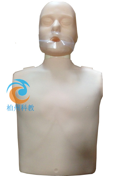 CPR100 �����Ͱ����ķΏ�(f��)�Kģ�M��