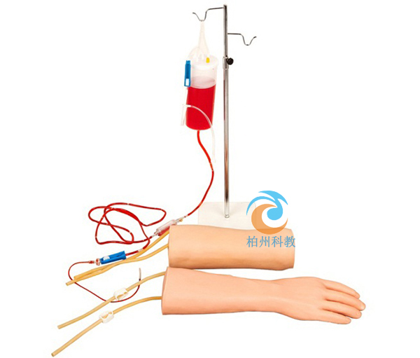 �ֲ����ⲿ�M��ʽ�o�}ݔҺ��Ѫ��Ӗ(x��n)��ģ��