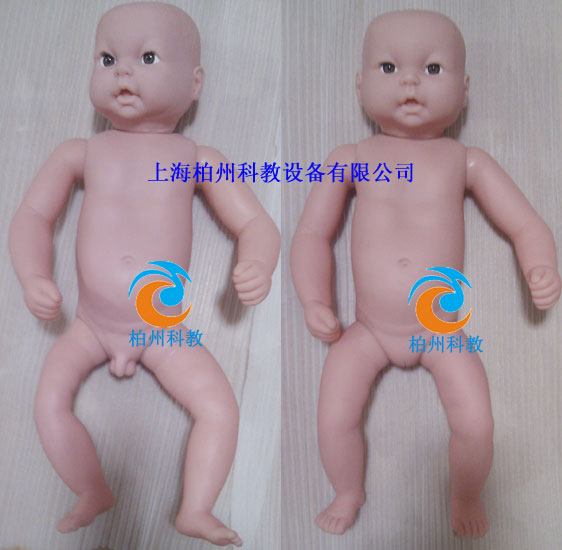 ���������w�o(h��)��ģ��