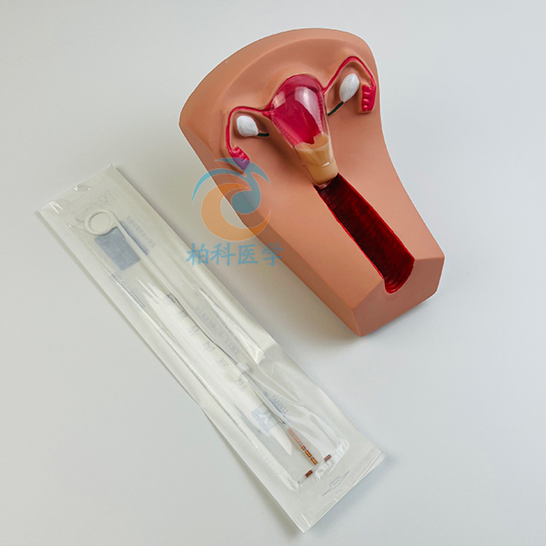 Ů�Ԍm��(n��i)��������Ӗ(x��n)��ģ��