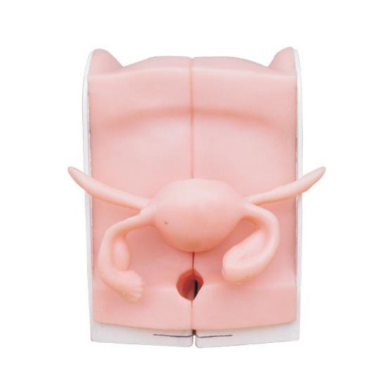 ����ָ��(d��o)ģ��