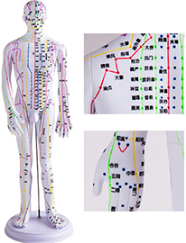 ���wᘾ�ģ��