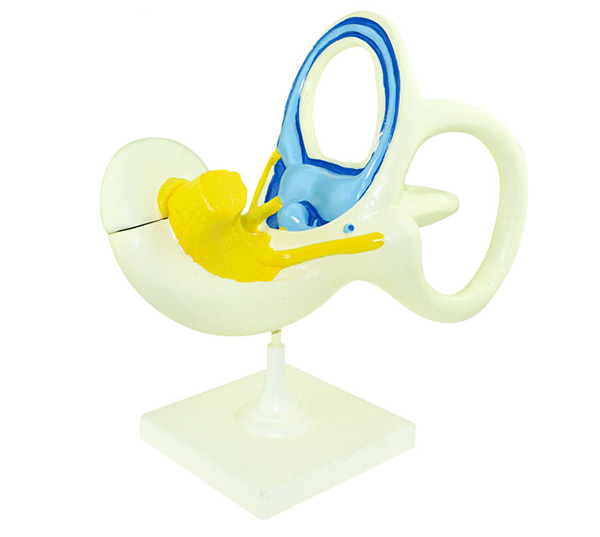 ��(n��i)����·�Ŵ�ģ��