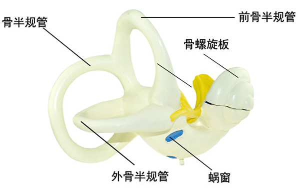 ��(n��i)����·�Ŵ�ģ��