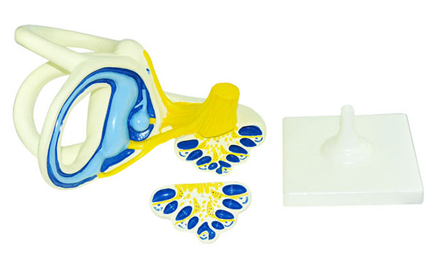 ��(n��i)����·�Ŵ�ģ��