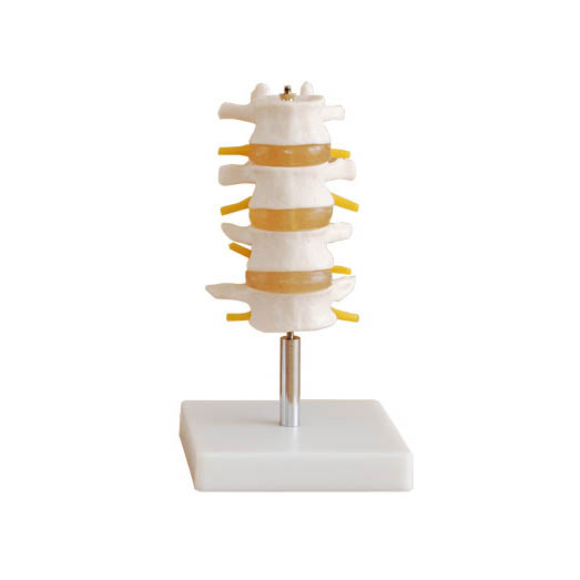 ������׵ģ�ͣ��Ĺ�(ji��)��