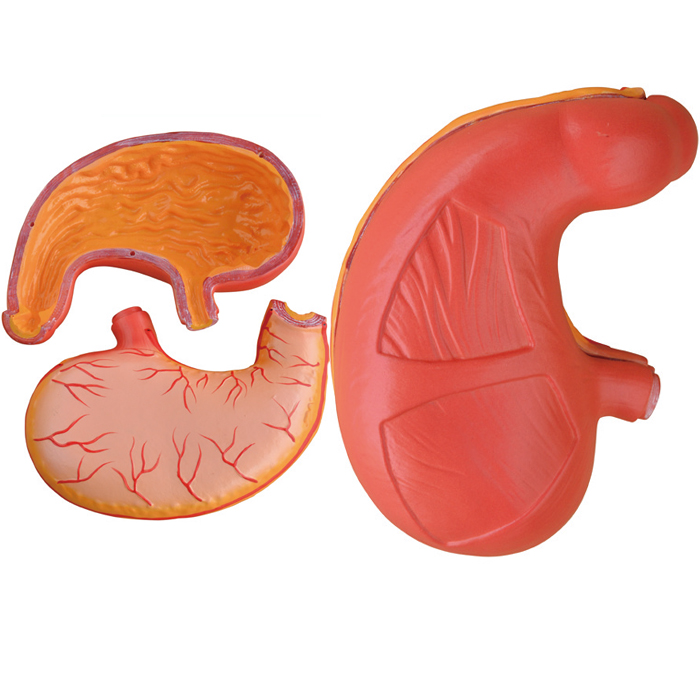 θ����ģ��