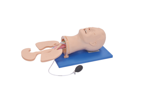 �߼��๦�ܚ������ģ��