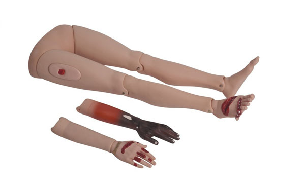 �߼���(chu��ng)����֫ģ��