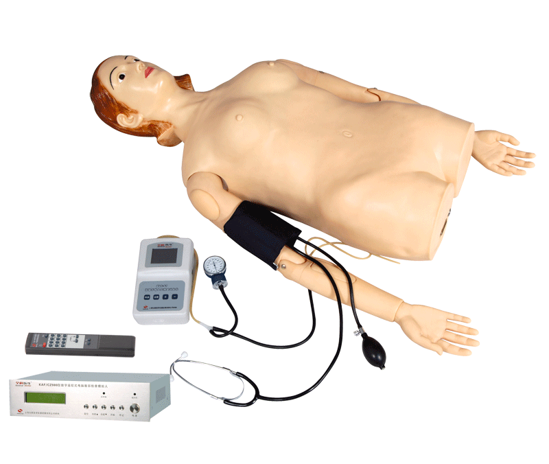 ��(sh��)���b��ʽ��X�����|�\��Ѫ���y��ģ�M��