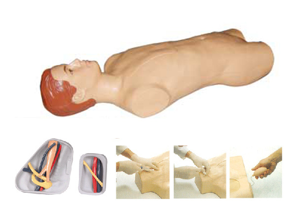 �����o�}����ע���|��ģ��