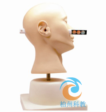 �߼�(j��)���\��ģ��