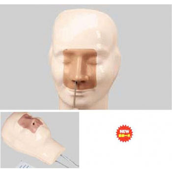 �߼���ǻ��Ѫģ��