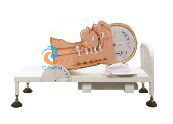 �����c�����C(j��)����ʾģ��