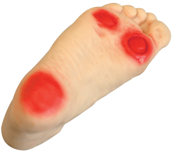 �߼��������o��ģ��