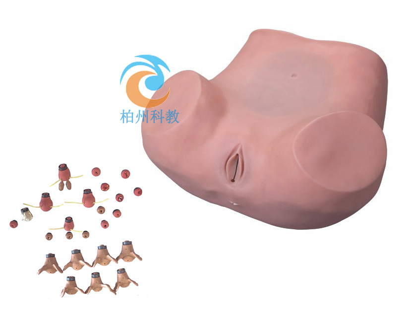 �߼�(j��)�D�ƾC�ϙz��Ӗ(x��n)��ģ��