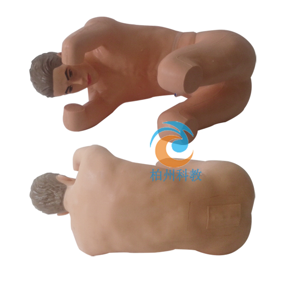 ��׵���̷���˜ʻ�����