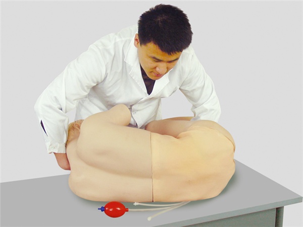 ��׵����Ӗ(x��n)��ģ�M��