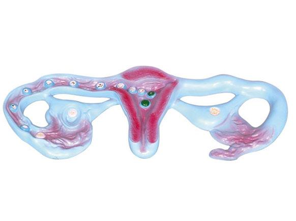 �����ܾ��^��ģ��