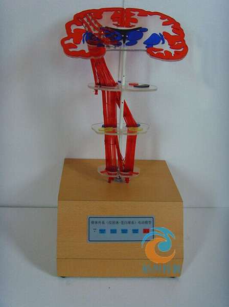 �F�w��ϵ���y���w-�n����늄�(d��ng)ģ��