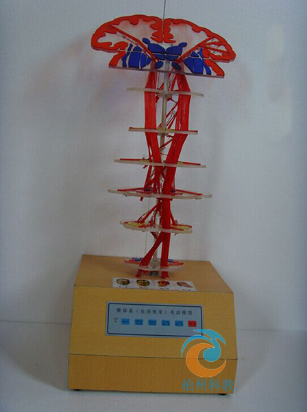 �F�wϵ��Ƥ�|(zh��)������늄�(d��ng)ģ��