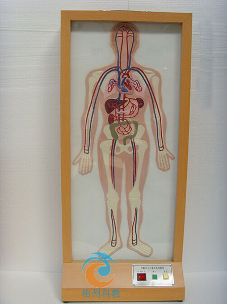 ����ʽ��Сѭ�h(hu��n)늄�(d��ng)ģ��