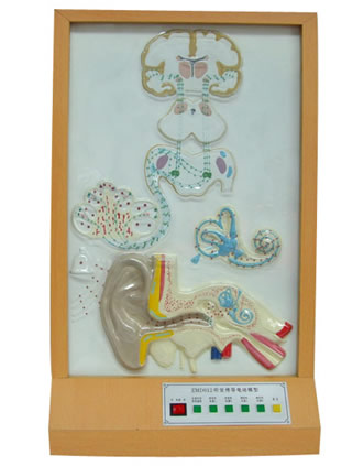  �X����(d��o)늄�ģ��