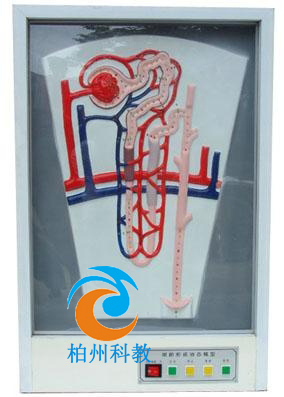 ����γɄ�(d��ng)�B(t��i)ģ��