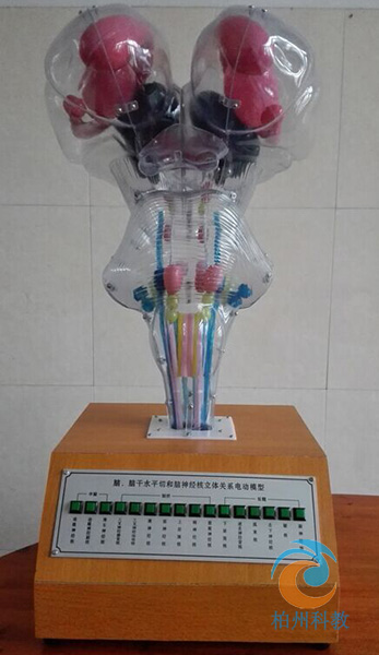 �X��ˮƽ�к���(j��ng)�����w�P(gu��n)ϵ늄�ģ��