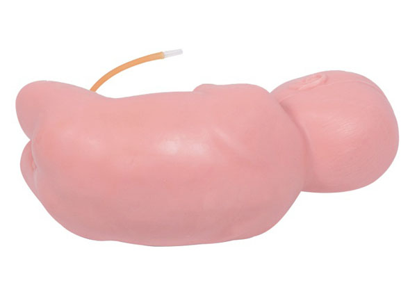 �߼�(j��)�냺��׵����ģ��