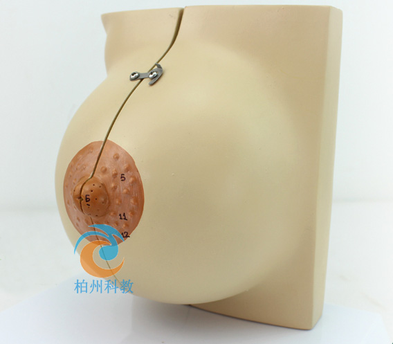 �oֹ��Ů���鷿����ģ��