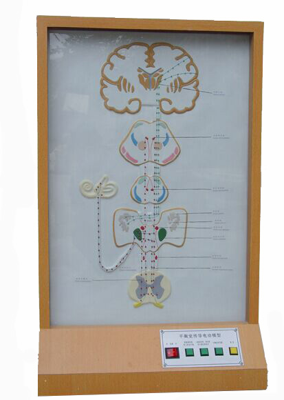 ƽ���X����(d��o)늄�(d��ng)ģ��