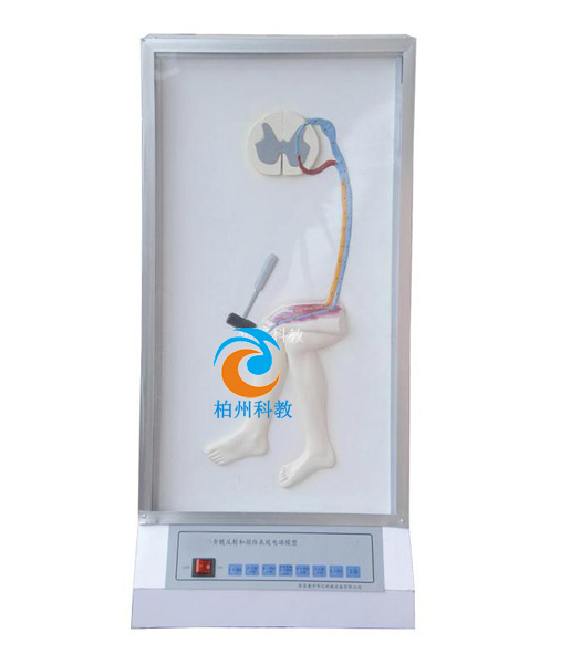 ����ķ���͓p�����F(xi��n)늄�ģ��