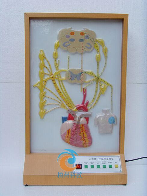 �ĵ���(j��ng)֧��늄�ģ��